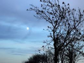 Առաջիկա 5 օրվա եղանակի կանխատեսում